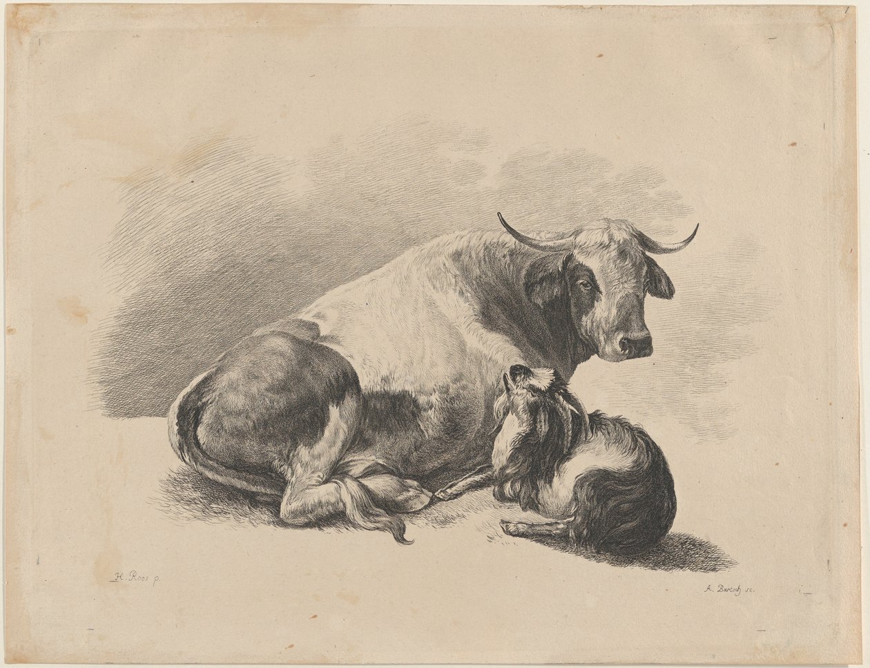 Leżąca krowa i koza, 1800-01. autorstwa Adam von Bartsch