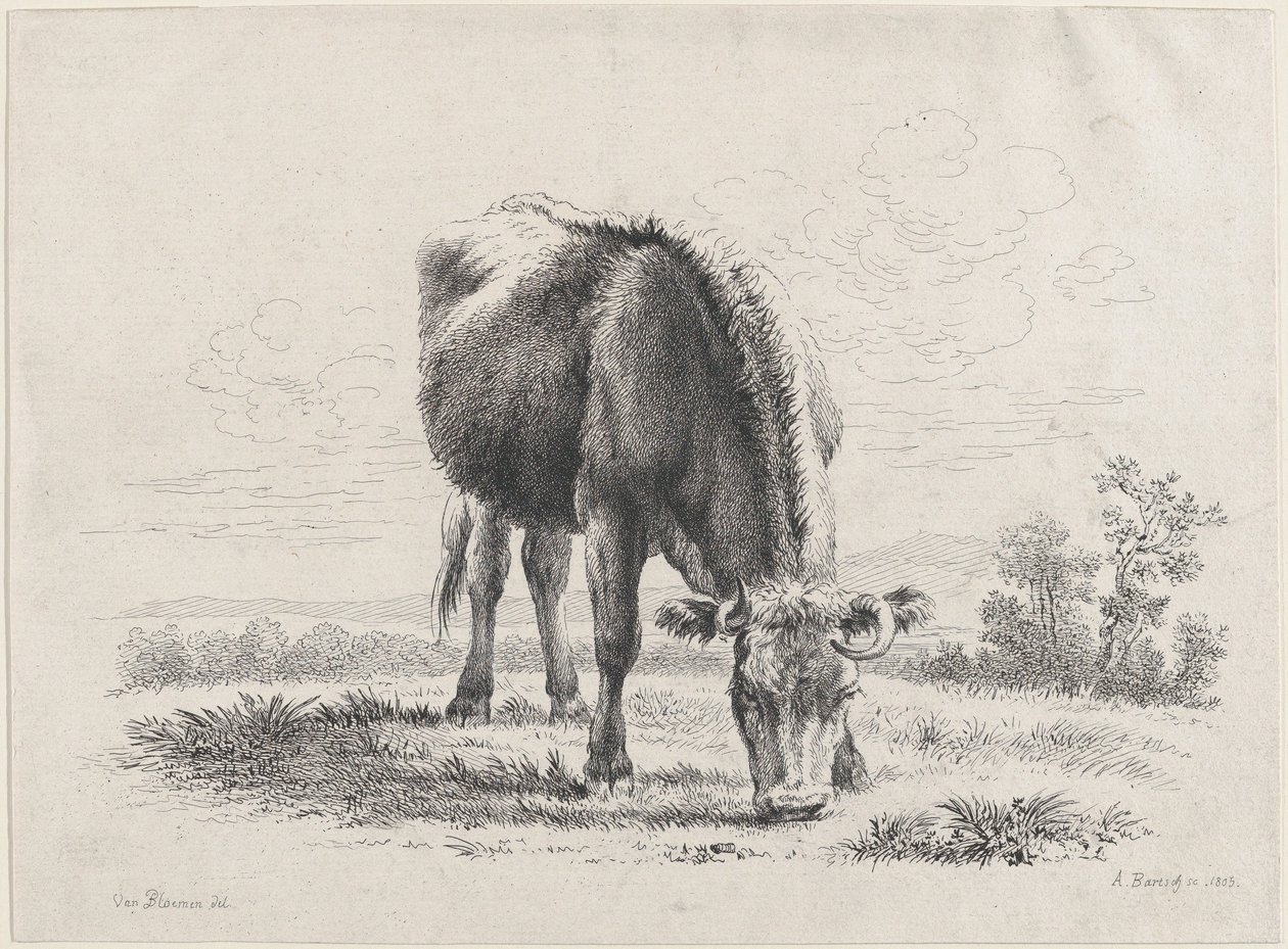 Wypas krów, 1805., 1805. autorstwa Adam von Bartsch