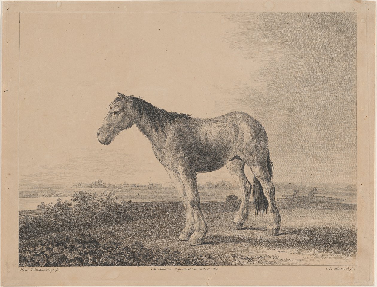 Koń stojący na polu z profilu po lewej, 1809 r. autorstwa Adam von Bartsch
