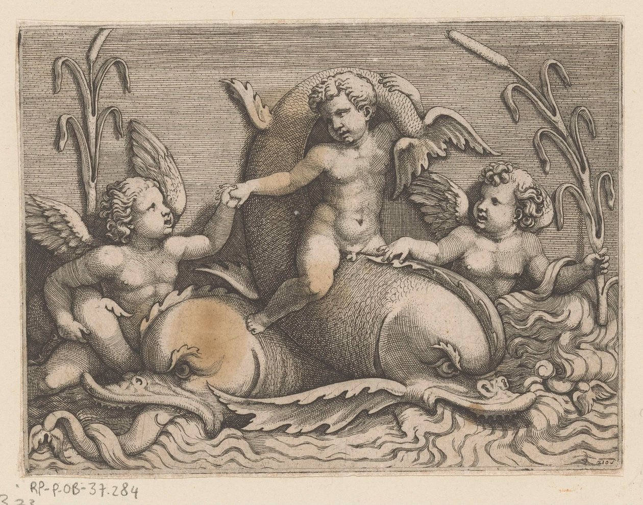 Trzy putta z delfinami autorstwa Adamo Scultori