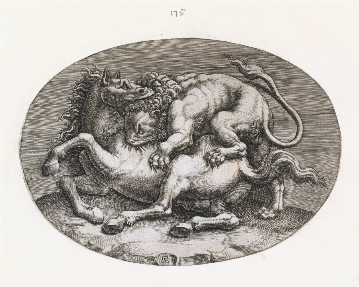 Lustro rzymskiej świetności: Lew atakujący konia, ok. 1540-80. autorstwa Adamo Scultori