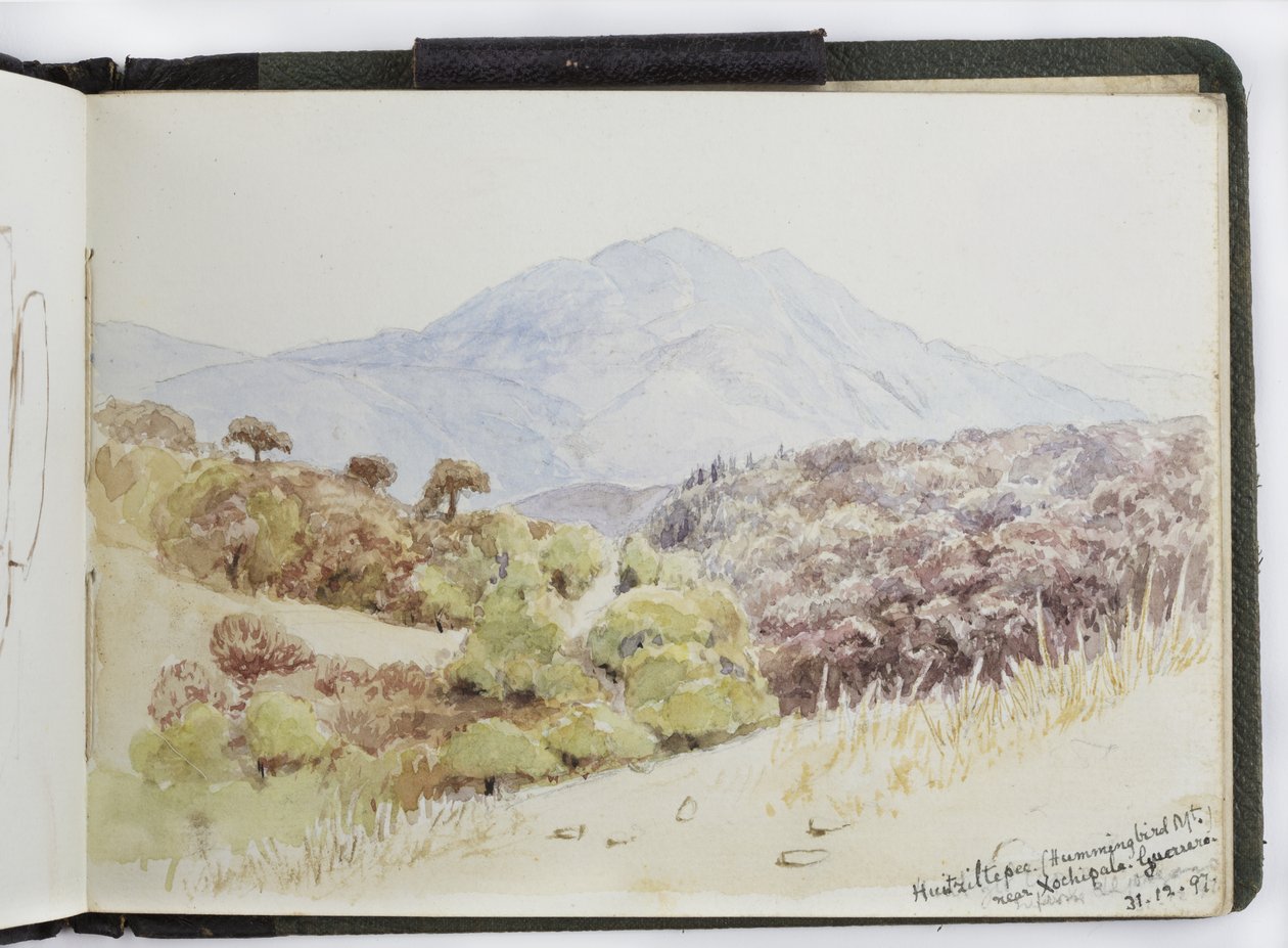 Szkicownik akwareli, Rysunki i notatki, Meksyk, 1896-1898 (akwarela) autorstwa Adela Breton