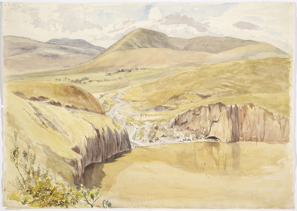 Alberea, niedaleko Santiago del Valle, Guanajuato, Meksyk (akwarela) autorstwa Adela Breton