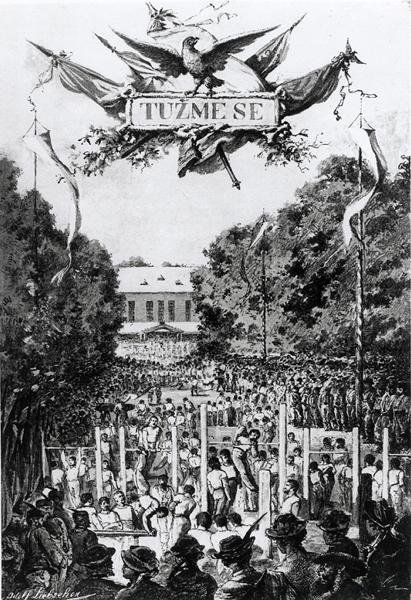 „Tuzmese” (wysiłek), pierwsze spotkanie Sokolów w Pradze autorstwa Adolf (after) Liebscher
