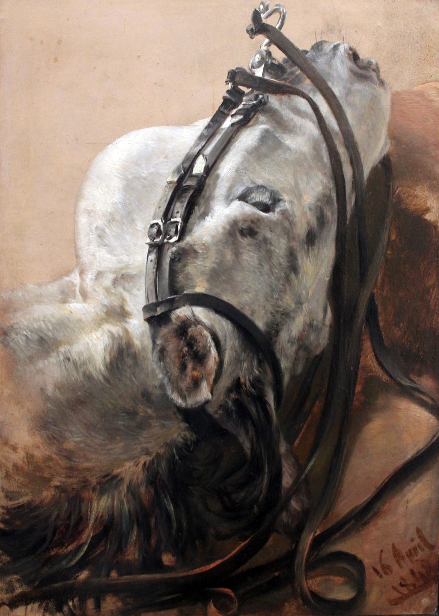 Badanie koni autorstwa Adolph Menzel