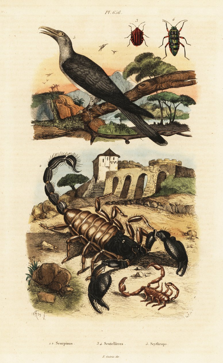 Scorpions and cuckoo.   1411731   pl       polish Successfully Translated  Original: Wayang (shadow puppets) Translat: Wayang (shadow puppets) 1408723 pl polish Successfully Translated Original: ""les sept arts liberaux"" (Arithmetique, geometrie, musique, autorstwa Adolph (after) Fries