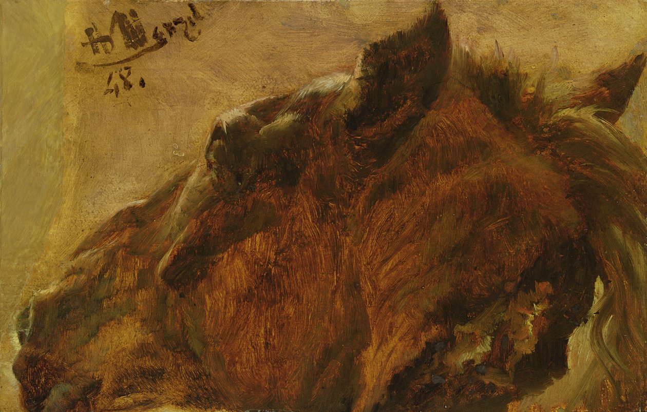 Głowa martwego konia, 1848 (olej na papierze oprawiony na płótnie) autorstwa Adolph Menzel