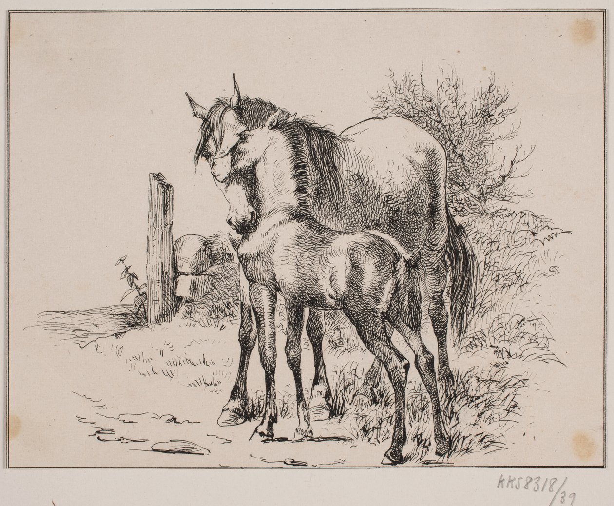 Koń i źrebię autorstwa Johan Adolph Kittendorff
