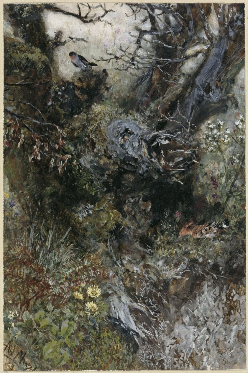 Pień drzewa z rudzikiem i dudkiem. Z „Albumu dziecięcego” autorstwa Adolph Menzel