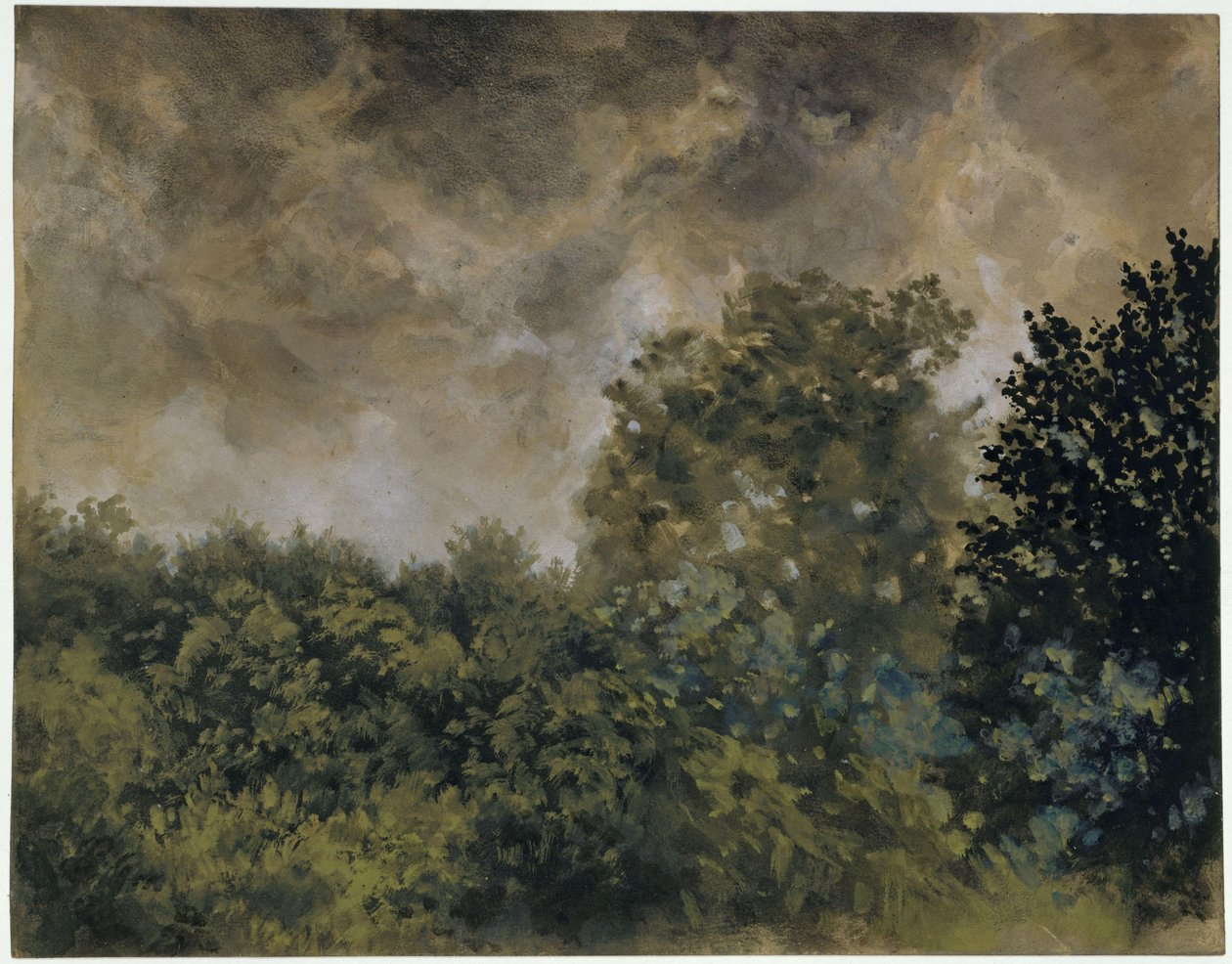 Widok na las liściasty autorstwa Adolph Menzel