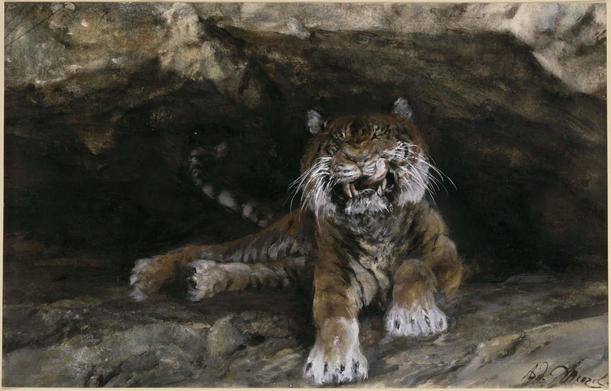 Tygrys. Z „Albumu dla dzieci” autorstwa Adolph Menzel