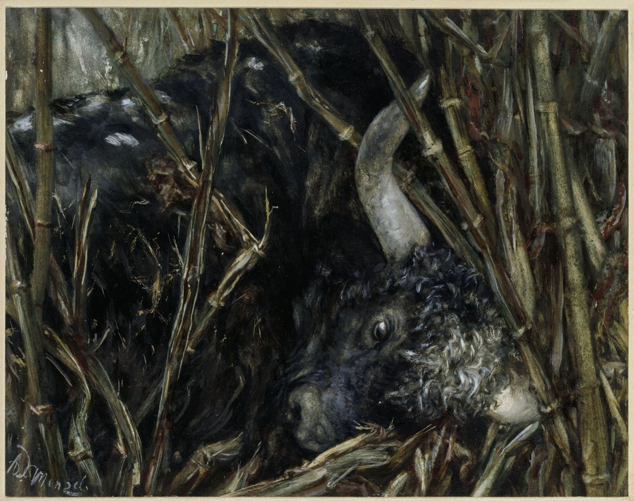 Byk jaka wśród bambusów. Z „Albumu dziecięcego“ autorstwa Adolph Menzel