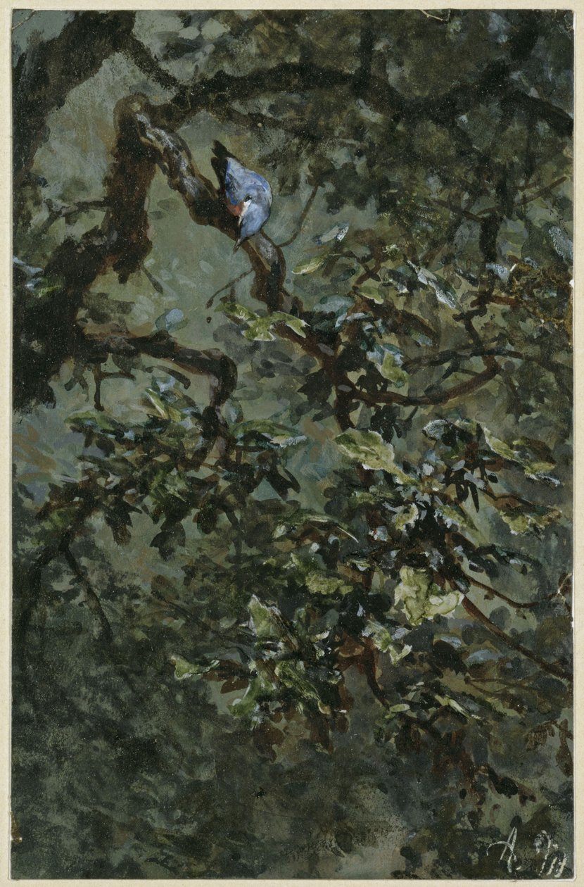 Niebieski dzięcioł wśród liści. Z „Albumu dziecięcego” autorstwa Adolph Menzel