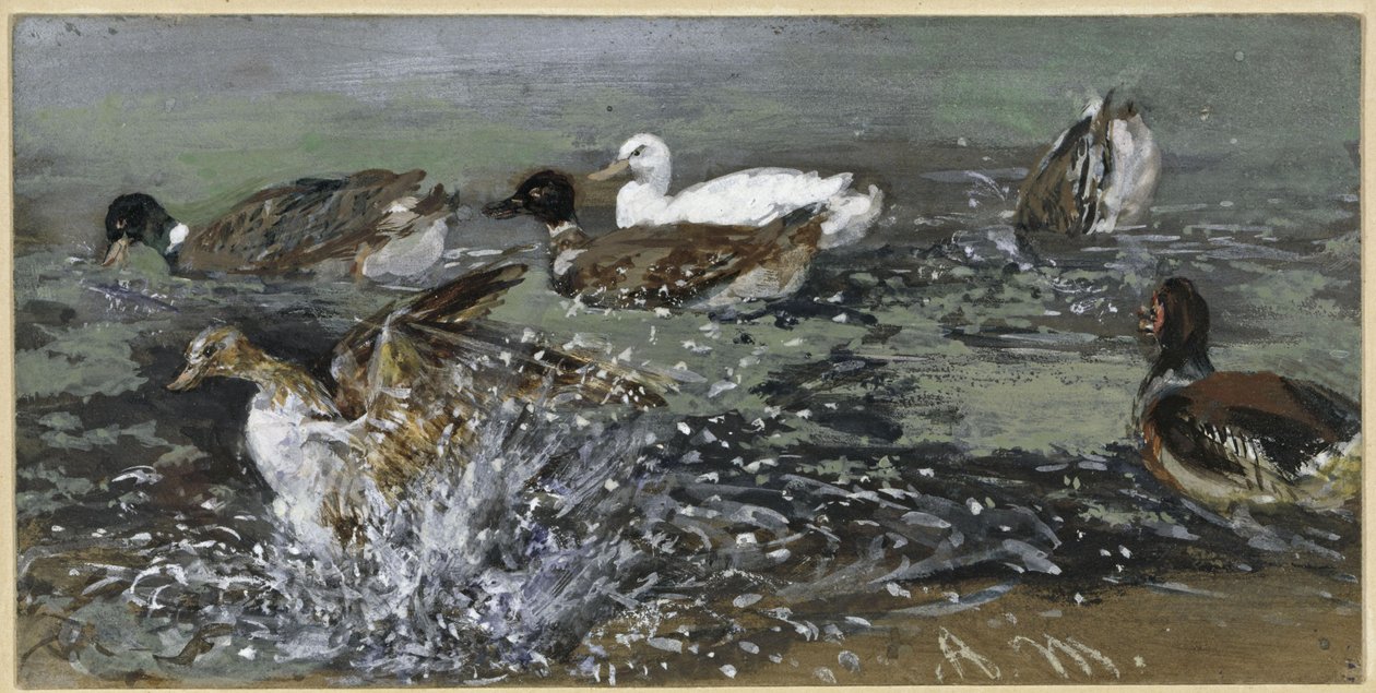Kaczki w wodzie. Z „Albumu dziecięcego” autorstwa Adolph Menzel