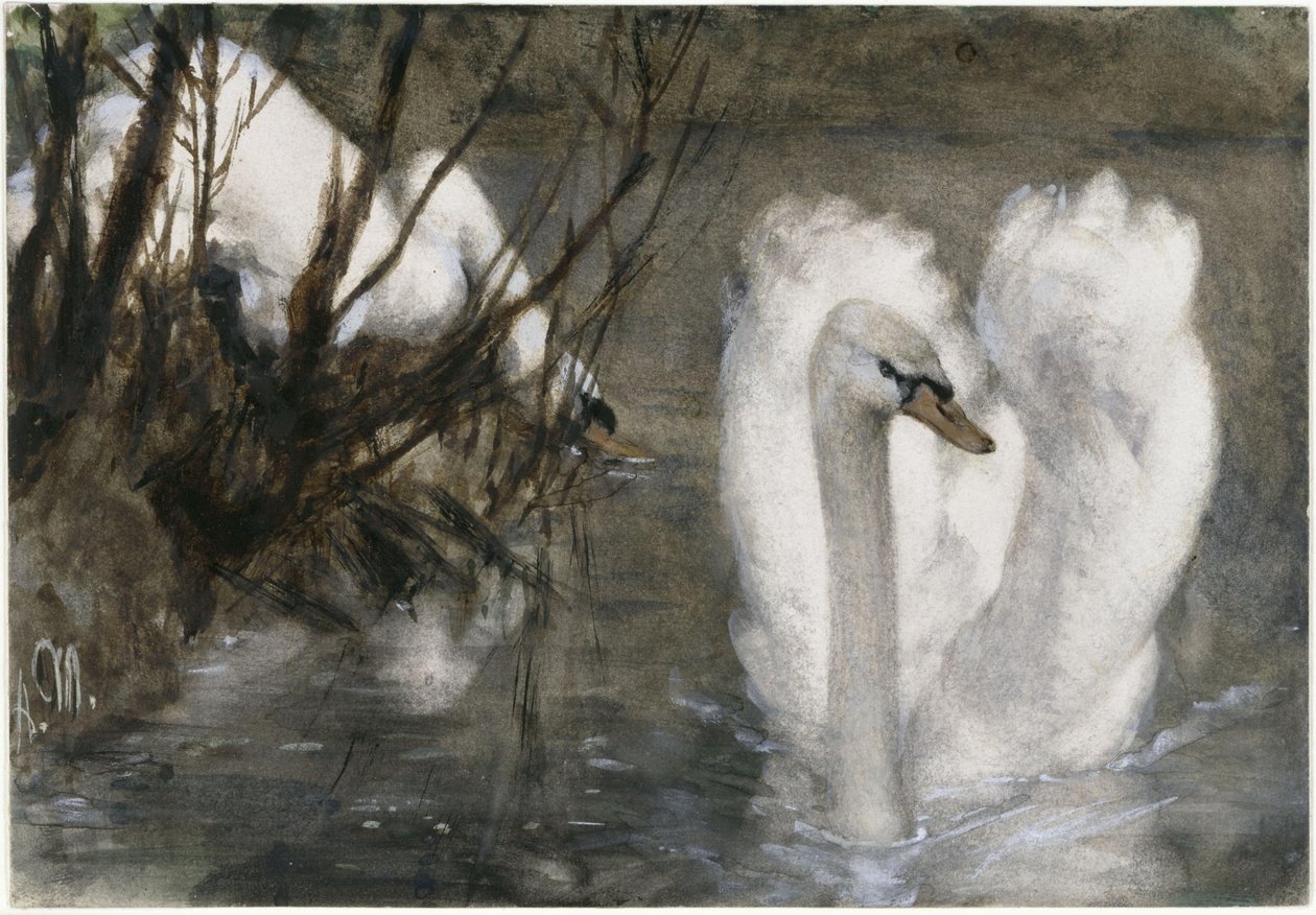 Dwa łabędzie. Z „Albumu dziecięcego” autorstwa Adolph Menzel