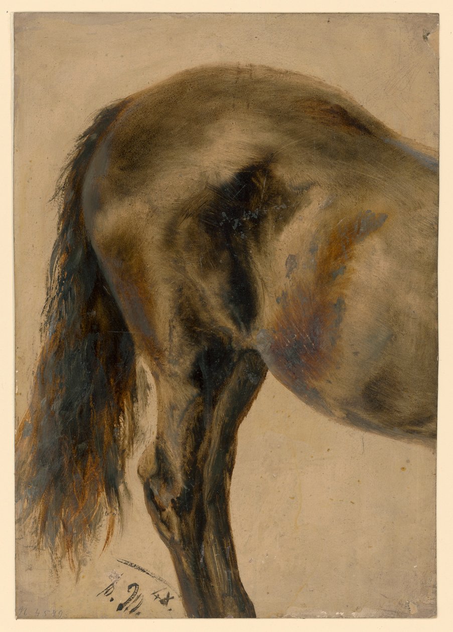 Tył konia widziany z profilu autorstwa Adolph Menzel