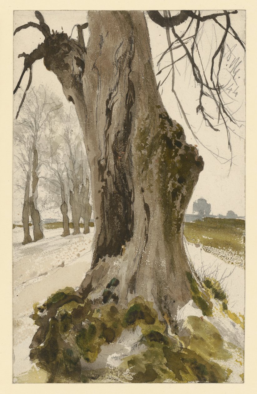 Pusty pień drzewa, w tle grupa drzew autorstwa Adolph Menzel