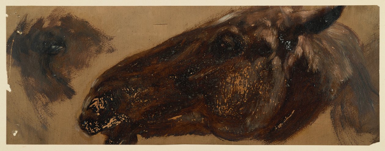 Głowa konia skierowana w lewo, powtórzony motyw oczu autorstwa Adolph Menzel