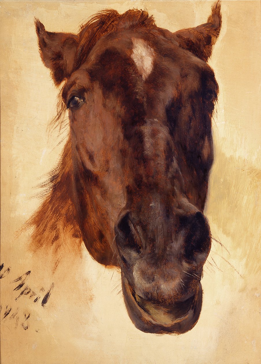 Głowa konia autorstwa Adolph Menzel