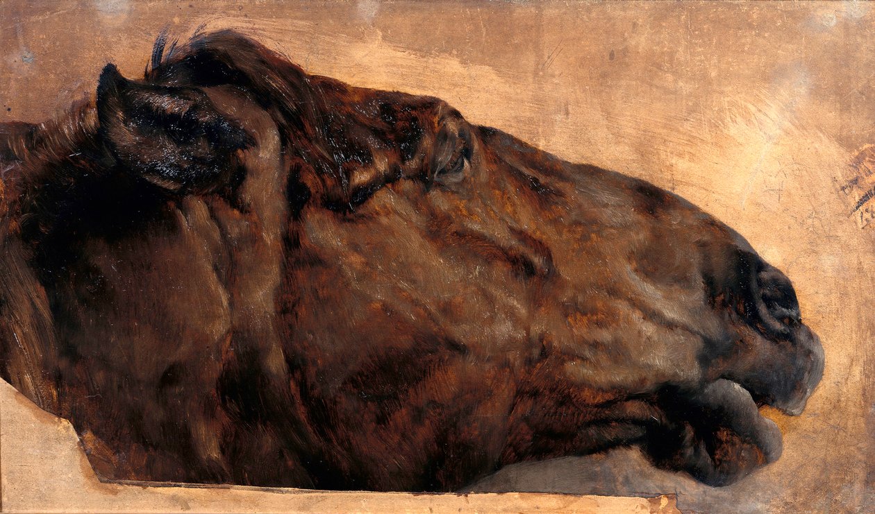 Studium konia. Głowa widziana z boku, w prawo autorstwa Adolph Menzel