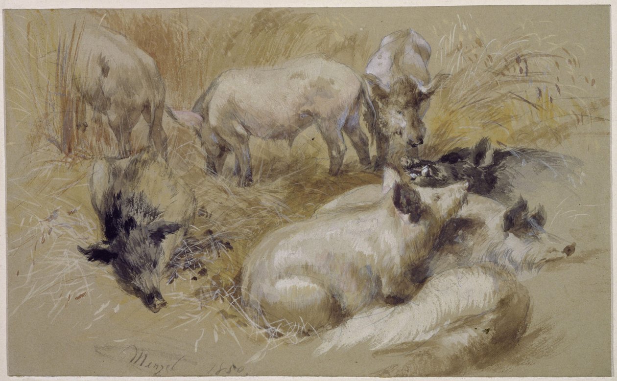 Świnie w polu zboża autorstwa Adolph Menzel