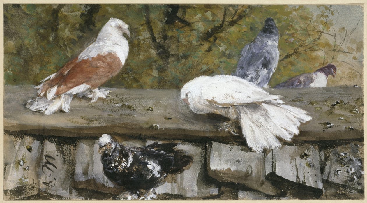 Gołębie na drewnianym dachu. Z „Albumu dziecięcego” autorstwa Adolph Menzel