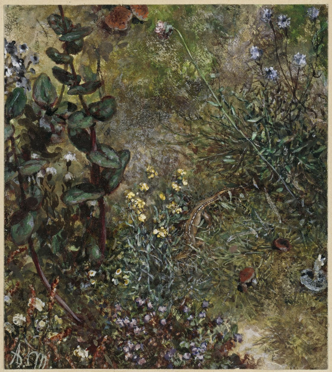 Leśna ziemia z jaszczurką. Z „Albumu dla dzieci” autorstwa Adolph Menzel