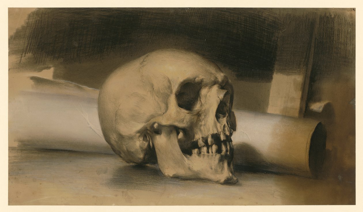 ludzka czaszka skierowana w prawo, a za nią rolka papieru autorstwa Adolph Menzel