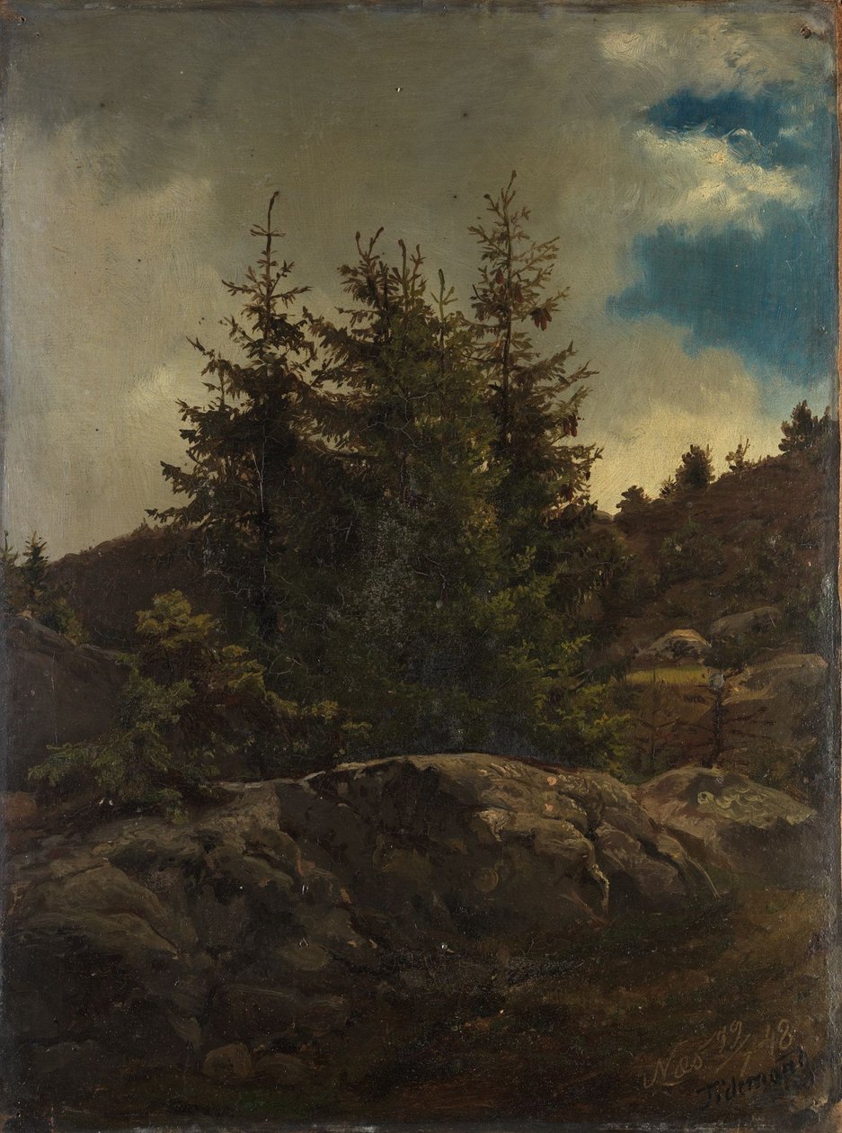 Pejzaż z Nes w Hallingdal autorstwa Adolph Tidemand