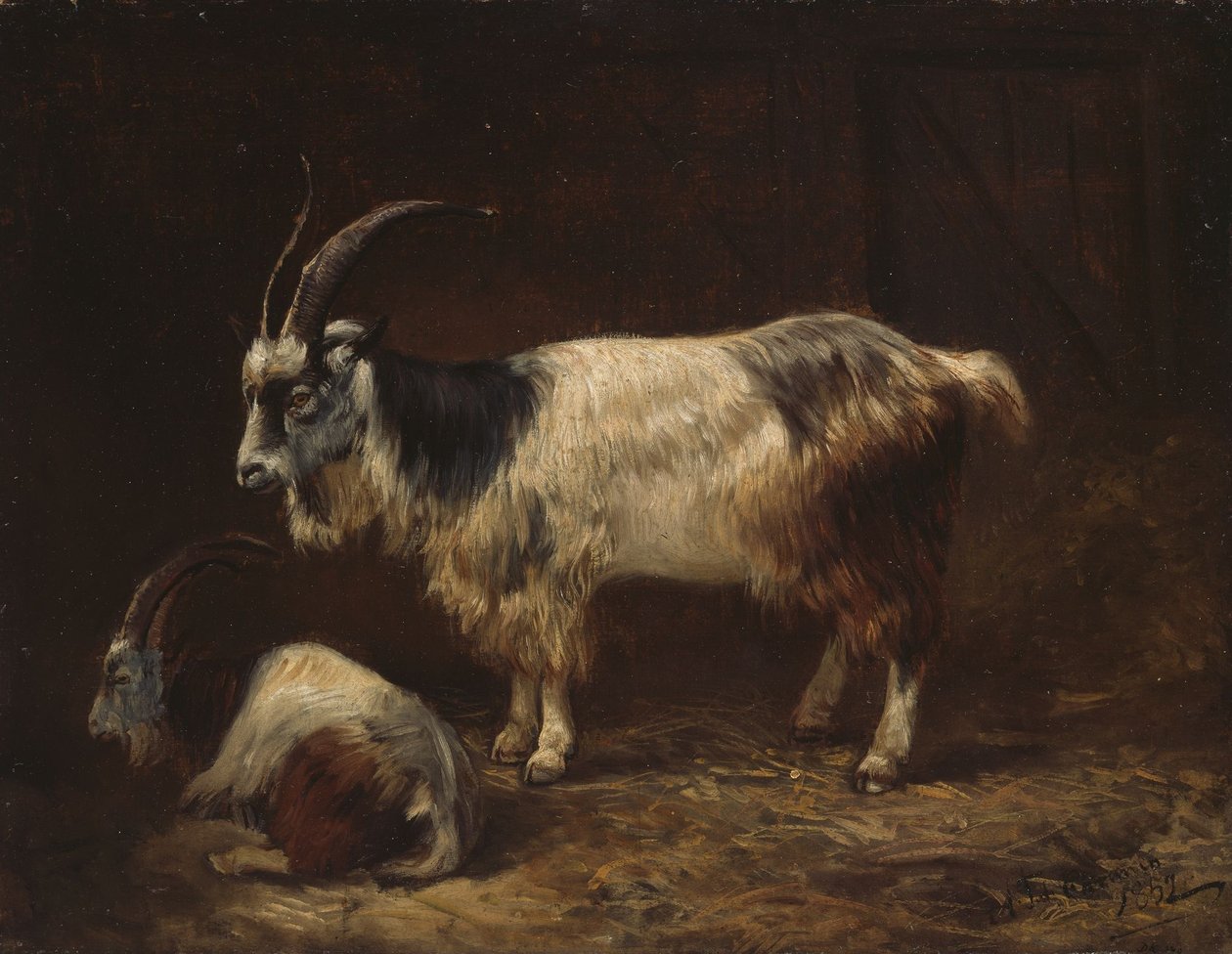 Dwie kozy autorstwa Adolph Tidemand