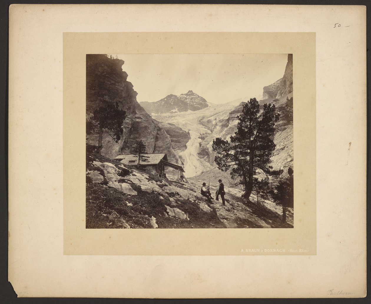 [Widok na Alpy z Faulhorn] autorstwa Adolphe Braun