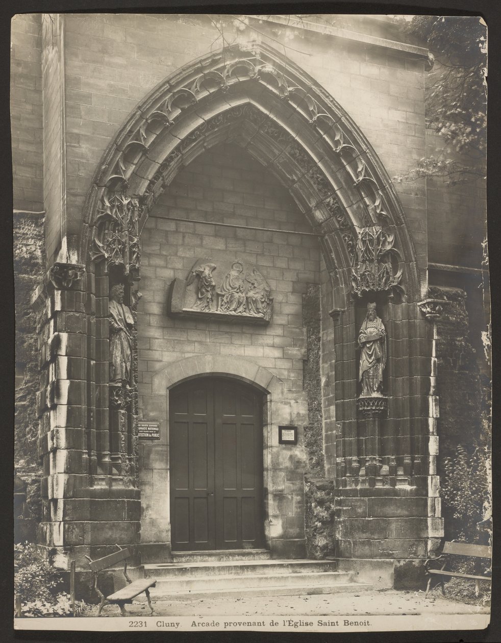 Cluney autorstwa Adolphe Braun