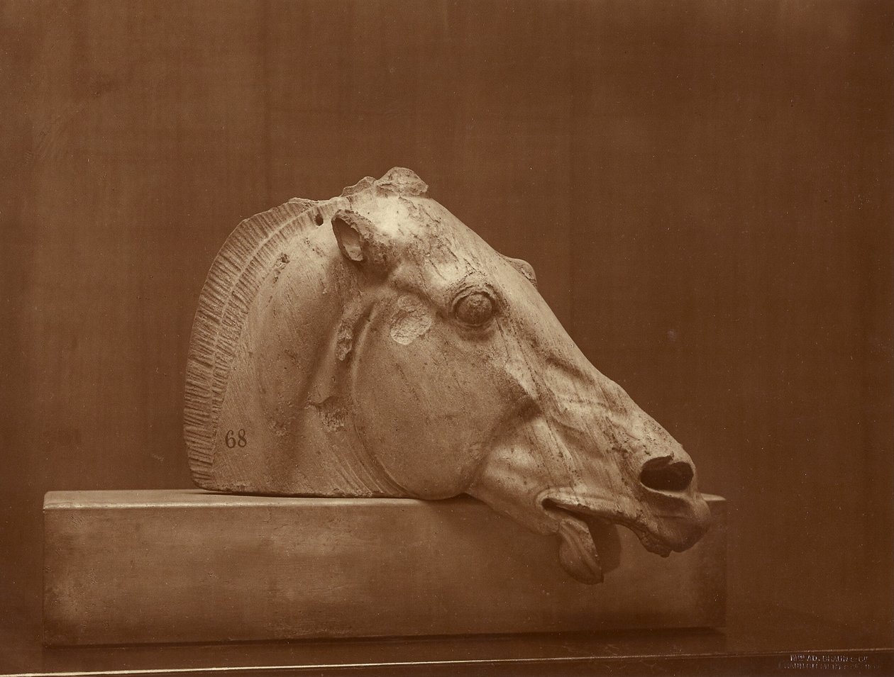 [Głowa konia z frontonu Partenonu, British Museum] autorstwa Adolphe Braun