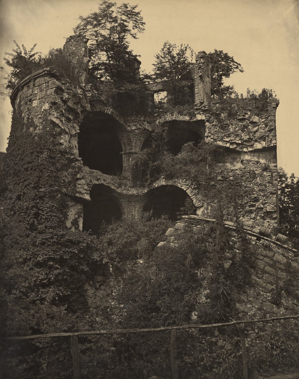 [Zamek Heidelberg] autorstwa Adolphe Braun