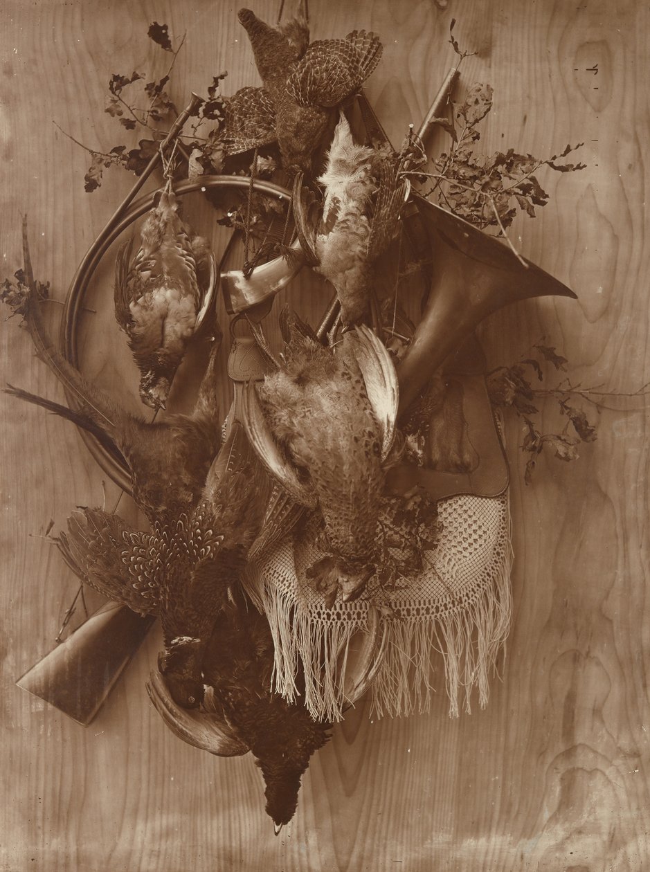 Bażant i Cietrzew, ca. 1865. autorstwa Adolphe Braun