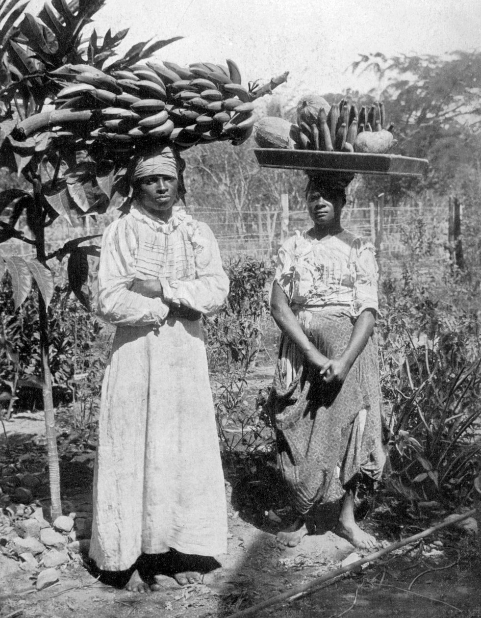 Sprzedawcy owoców, Jamajka, ok. 1905 r. autorstwa Adolphe Duperly and Son