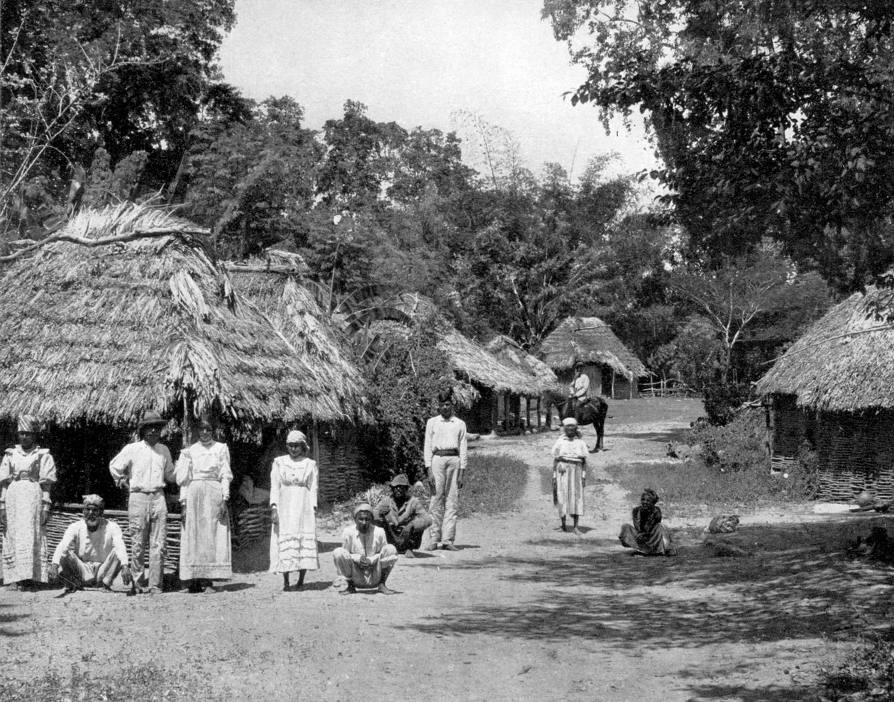 Rodzime chaty, Jamajka, ok. 1905. autorstwa Adolphe Duperly and Son