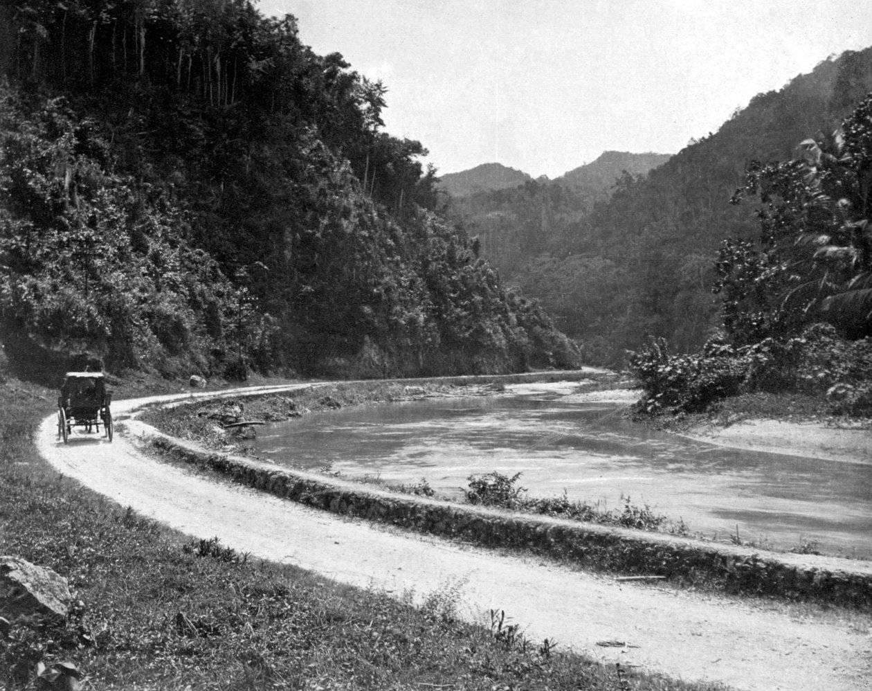 Droga do Bog Walk, Jamajka, ok. 1905. autorstwa Adolphe Duperly and Son