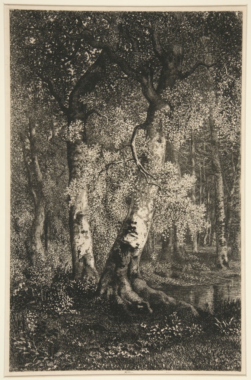 Buki autorstwa Adolphe Martial Potemont
