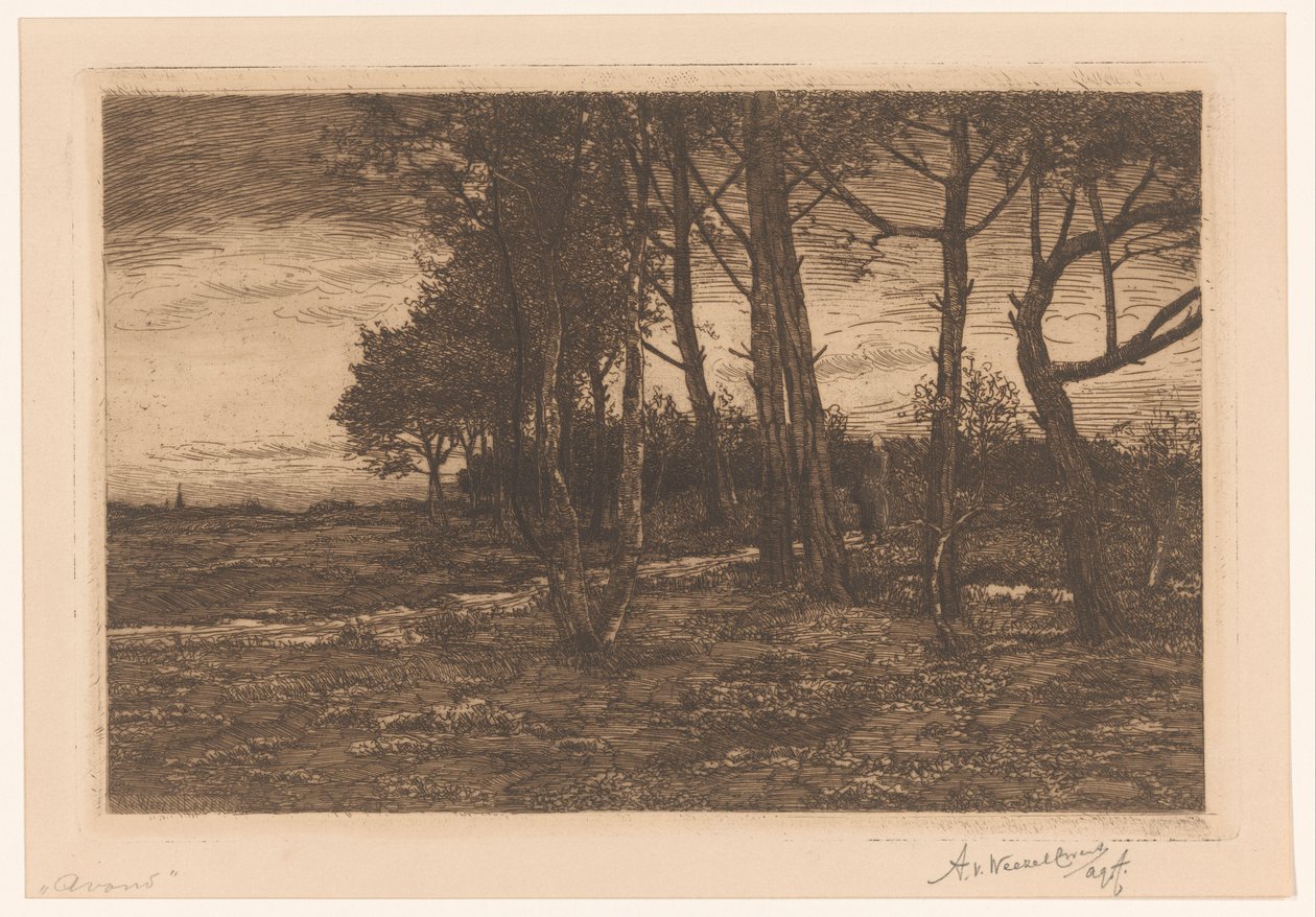 Krajobraz z drzewami Wieczór (tytuł na obiekcie) autorstwa Adolphe P.H J. van Weezel Errens (signed by artist)