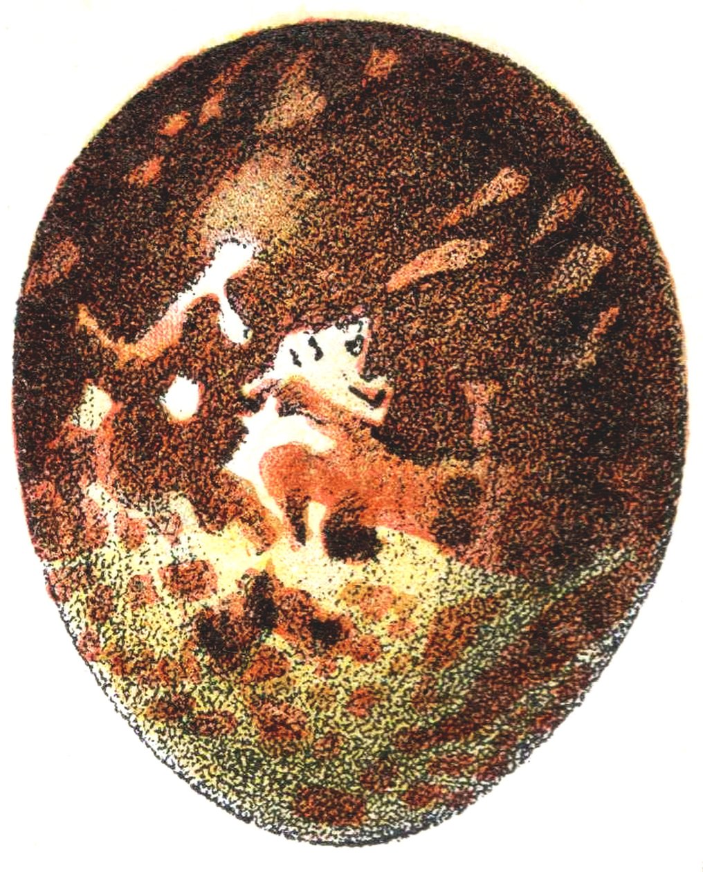Jajo myszołowa (Pernis apivorus), 1923 autorstwa Adolphe Philippe Millot
