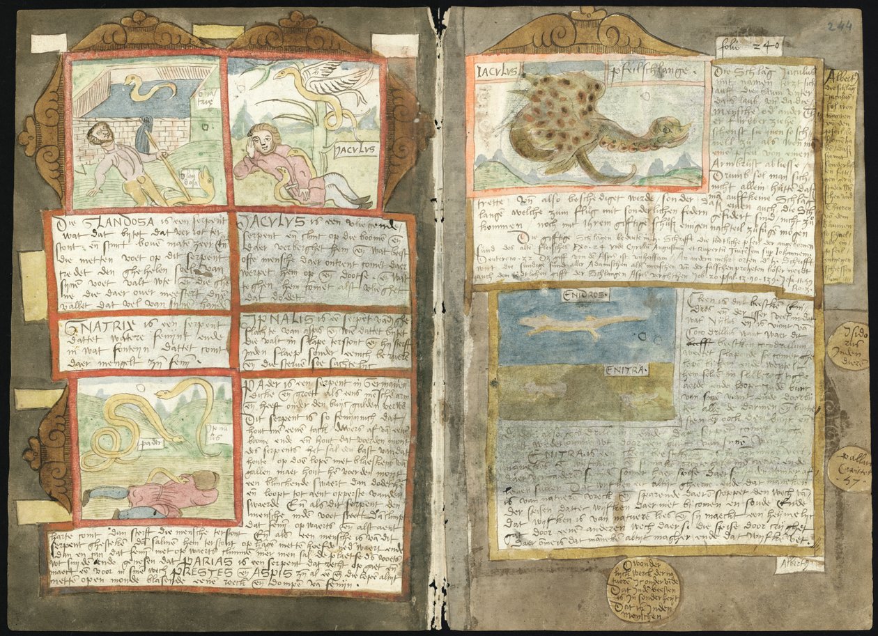 Visboeck Adriaena Coenena - KB 78 E 54 - folio 243v (po lewej) i 244r (po prawej) autorstwa Adriaen Coenen