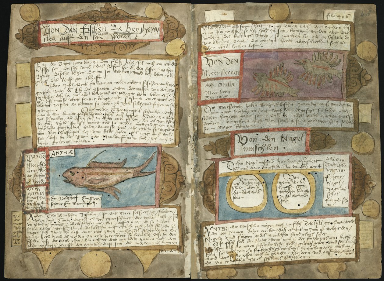 Visboeck Adriaena Coenena - KB 78 E 54 - folio 407v (po lewej) i 408r (po prawej) autorstwa Adriaen Coenen