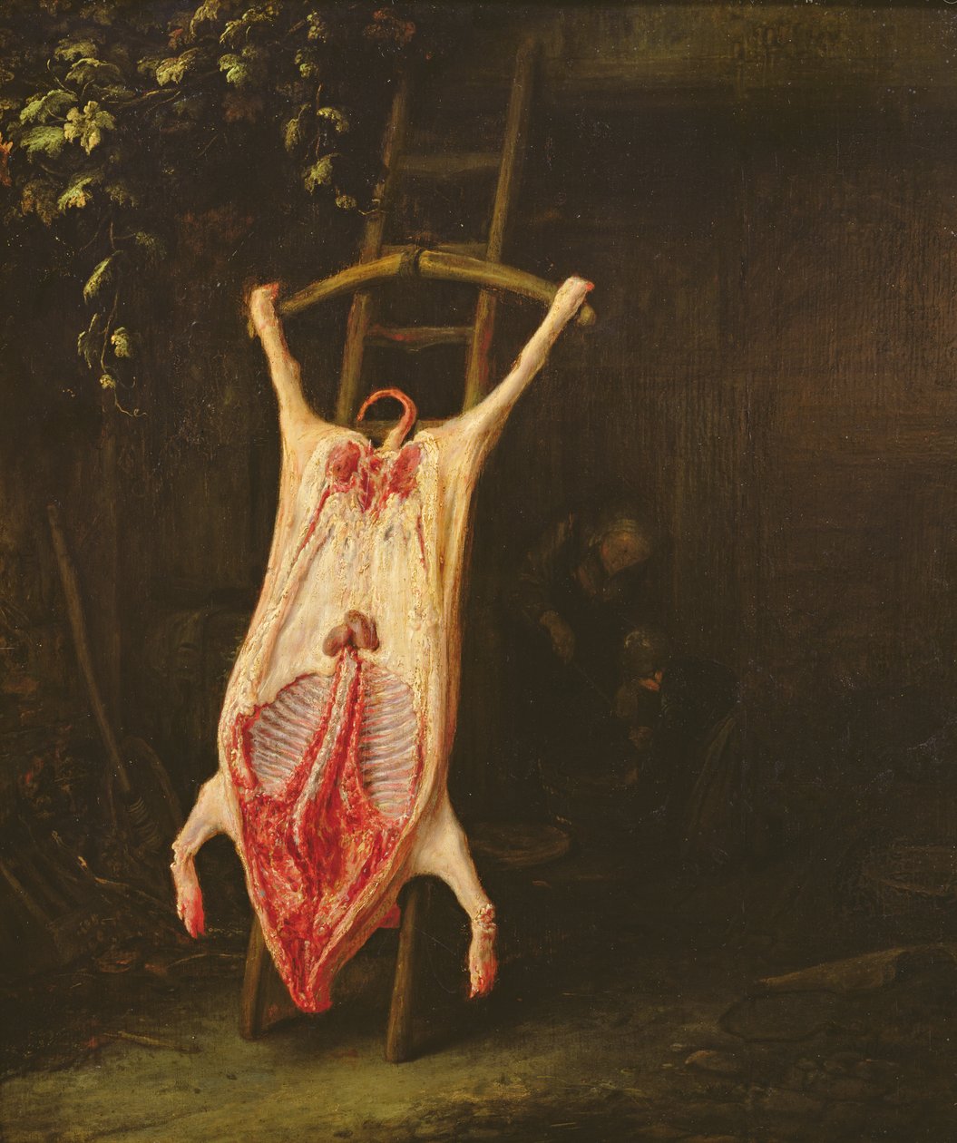 Flayed Pig autorstwa Adriaen Jansz. van Ostade