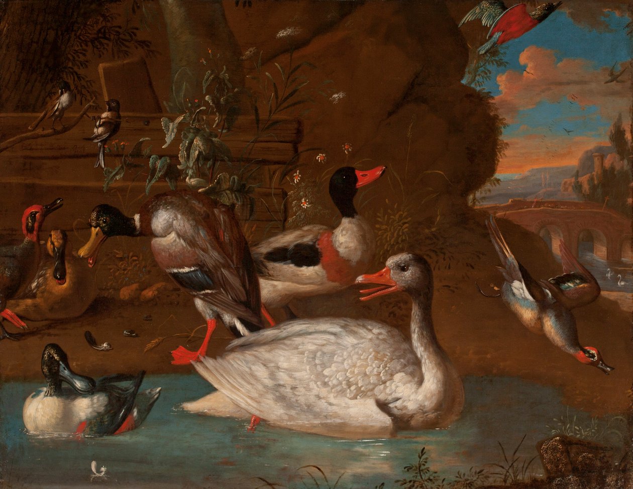 Gęś białoczelna w otoczeniu szeliniaka, krzyżówki, sieweczki, cyranki i sikorki w pejzażu w stylu włoskim o zmierzchu, 1703 r. autorstwa Adriaen van Oolen