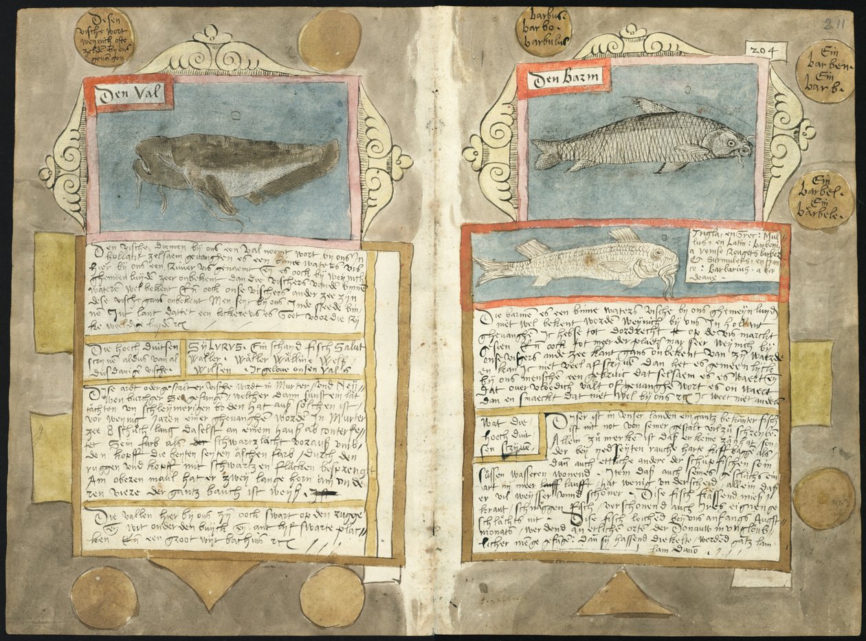 Visboeck Adriaena Coenena - KB 78 E 54 - folio 210v (po lewej) i 211r (po prawej) autorstwa Adriaen Coenen
