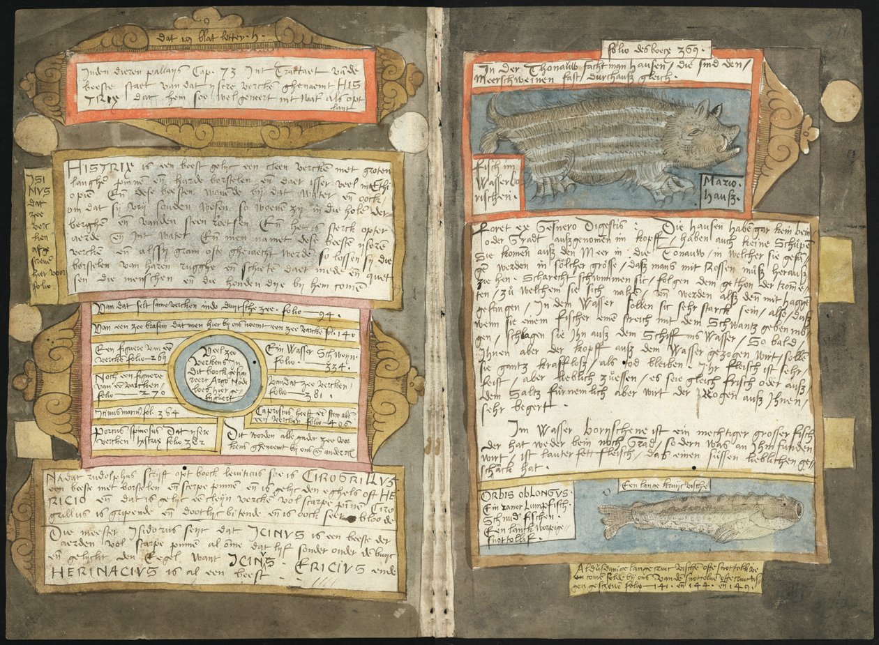 Visboeck Adriaena Coenena - KB 78 E 54 - folio 370v (po lewej) i 371r (po prawej) autorstwa Adriaen Coenen