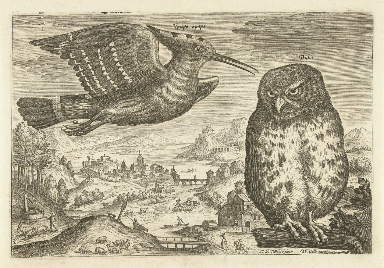 Niektóre ptaki w krajobrazie Ptaki (tytuł serii) Avivm vivae (tytuł serii) autorstwa Adriaen Collaert