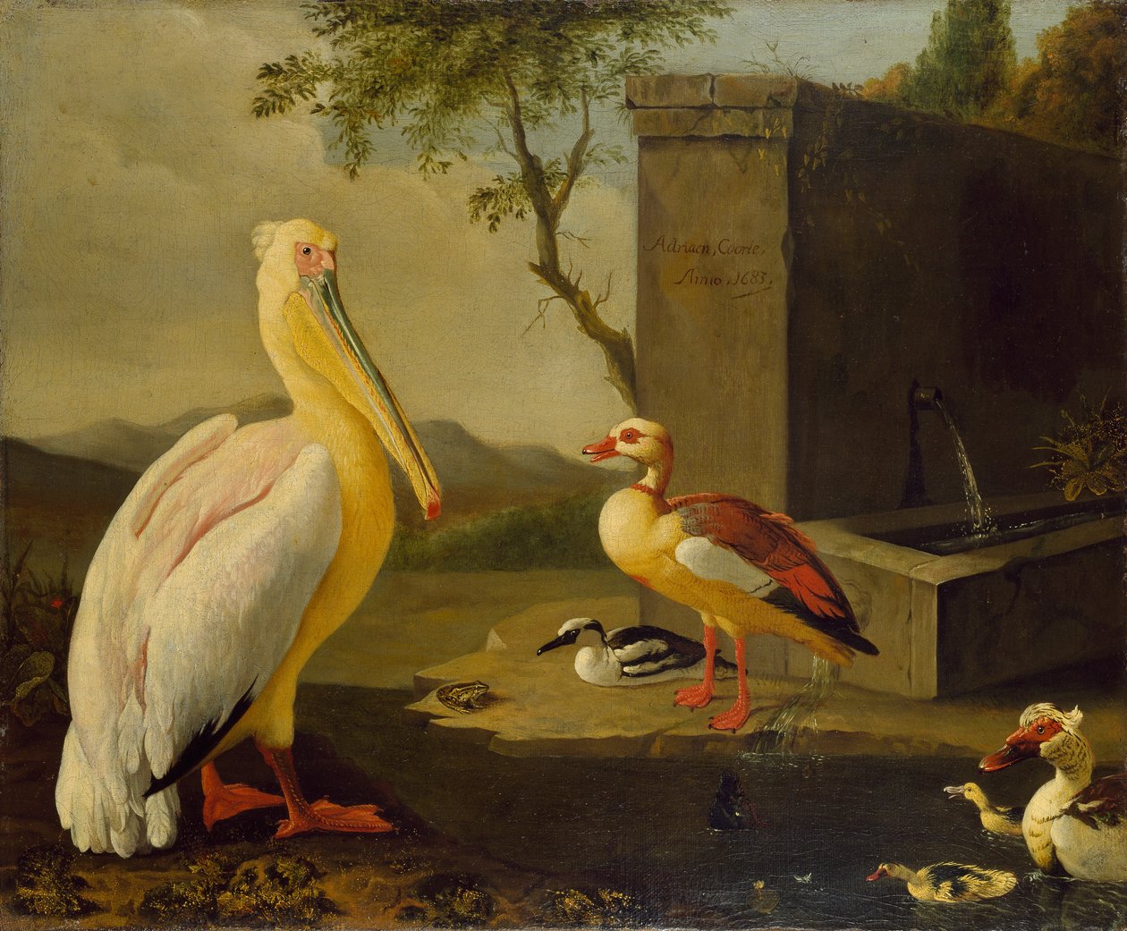 Ptaki orientalne, 1683 autorstwa Adrian Coorte