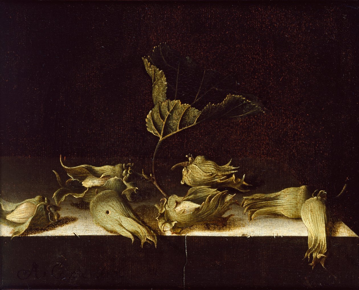 Martwa natura z orzechami laskowymi, 1696 autorstwa Adrian Coorte
